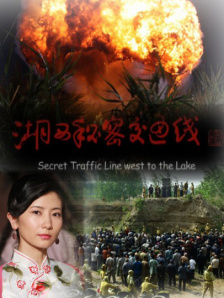 国内久久久久高清影视
